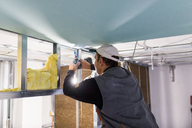 Best Specialty Insulation in Elkhorn City, KY