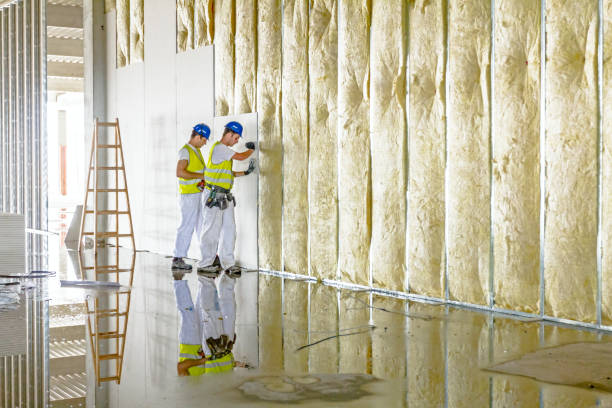 Best Insulation Maintenance and Repair in Elkhorn City, KY